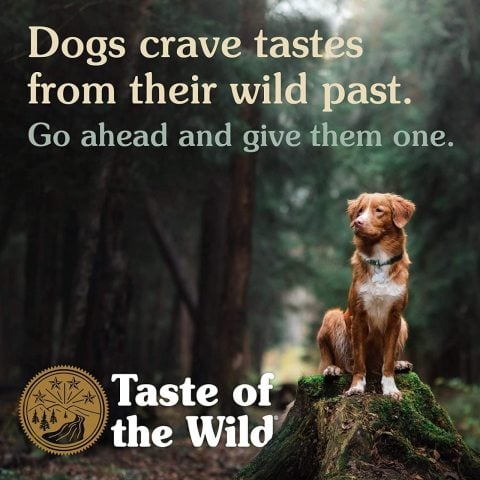 Taste Of The Wild Wetlands Tahılsız Yetişkin Köpek Maması 12.2 Kg
