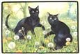 Black Cats Dandelions Paspas 69X46 CM