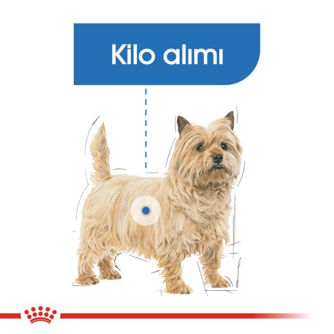 Royal Canin Mini Light 3 Kg