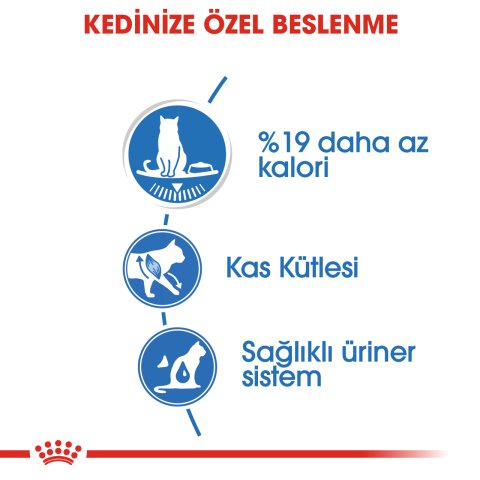 Royal Canin Light Gravy 85 Gr 12 li Paket