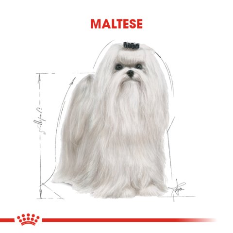 Royal Canin Maltese 1,5 Kg