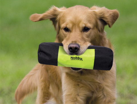 Köpek Eğitim Ödül Çanta Oyuncak Nobby