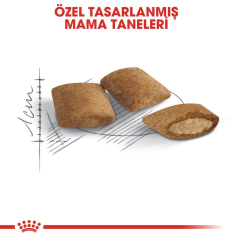 Royal Canin Ageing 12 Yaş Üzeri  2Kg