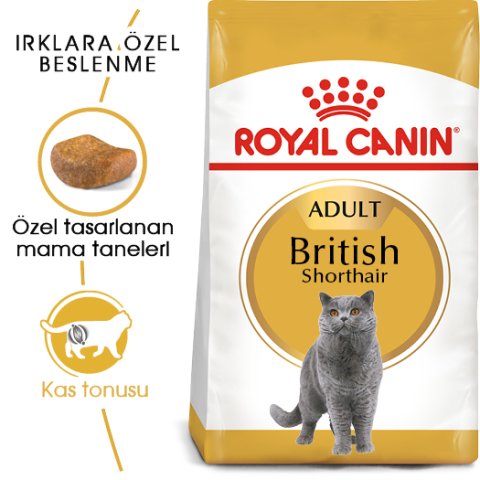 Royal Canin Adult British Shorthair 10 Kg