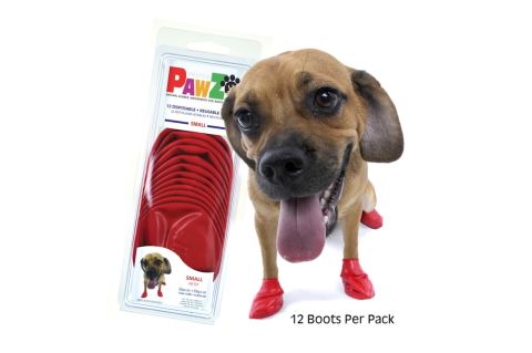 Pawz Small Köpek Galoşu