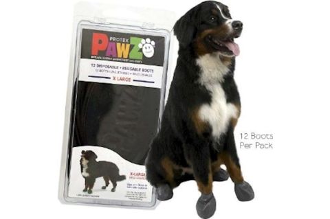 Pawz XLarge Köpek Galoşu