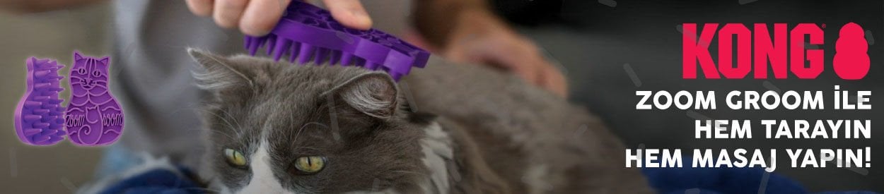 Cat Zoom Groom