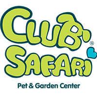 Club Safari