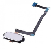 Samsung Galaxy Note 5 N920 Home Tuş Filmi Flex