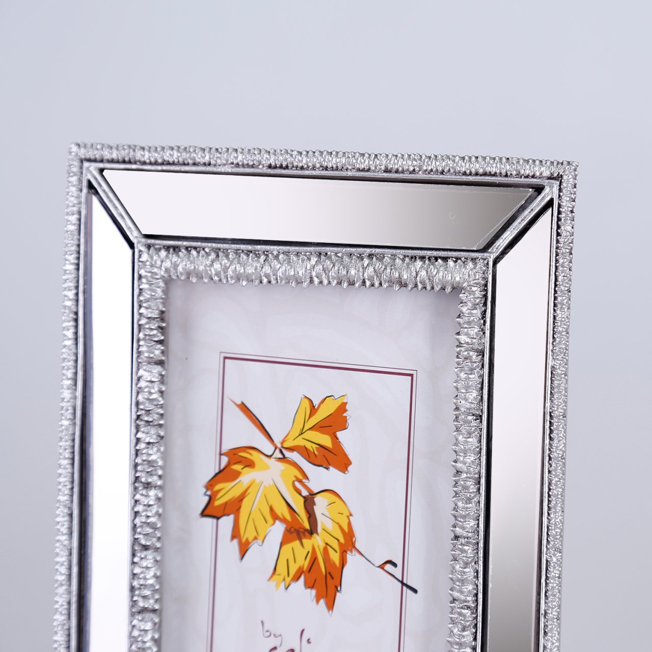 13x18 Elsira Aynalı Çerçeve Gümüş
