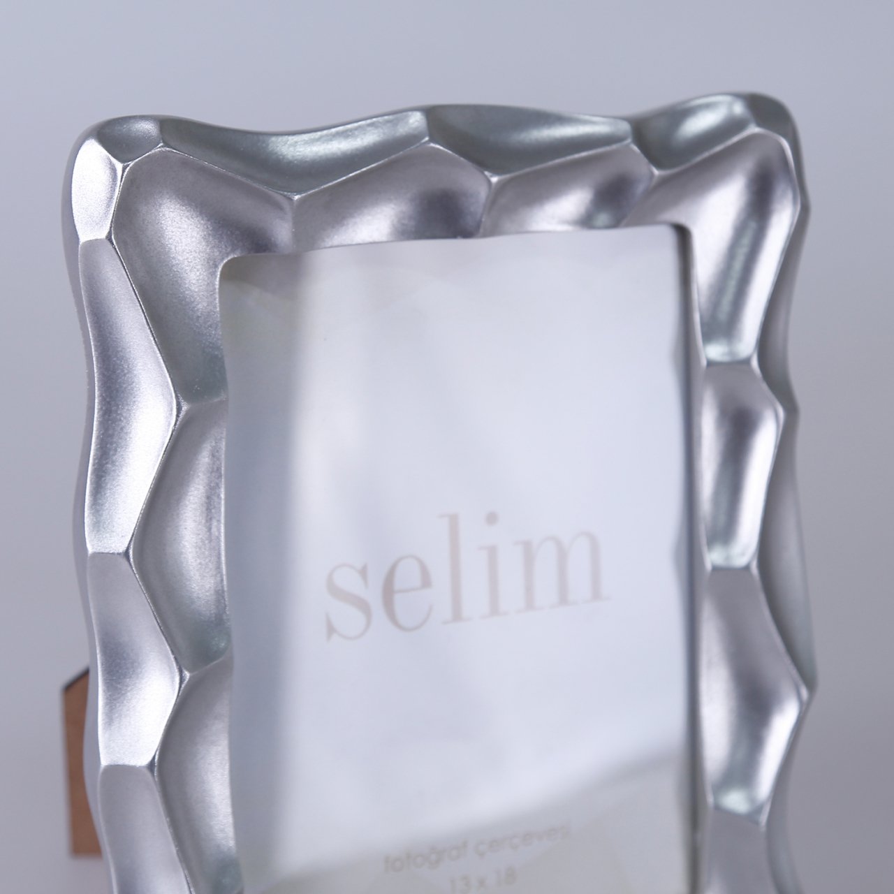 Silver Frame 13x18 Telles
