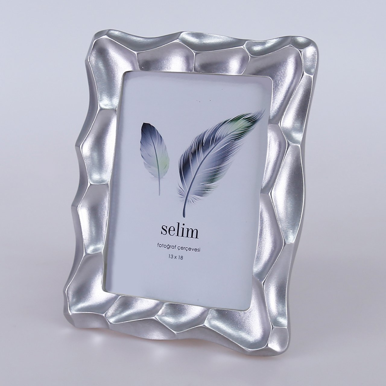 Silver Frame 13x18 Telles