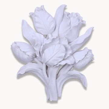 Tulipa Dekoratif Çiçek Beyaz