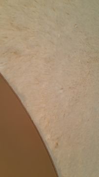 Doğuş Tavşan Tüyü Krem 80x300 cm