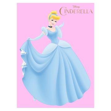 YamalıHome Disneyland Sindrella Çocuk Halısı S3 120x180 cm