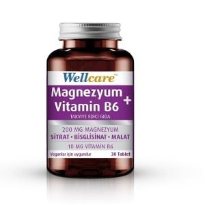 Wellcare Magnezyum ve Vitamin B6 200/10 mg 30 Tablet