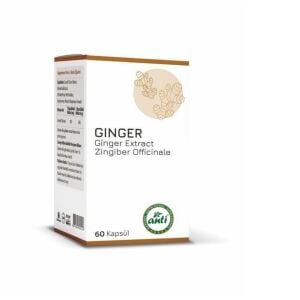 Anti Ginger Zencefil 60 Kapsül