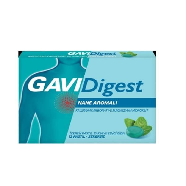 GaviDigest Nane Aromalı 12 Pastil