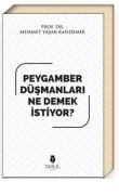 PEYGAMBER DÜŞMANLARI NE DEMEK İSTİYOR?