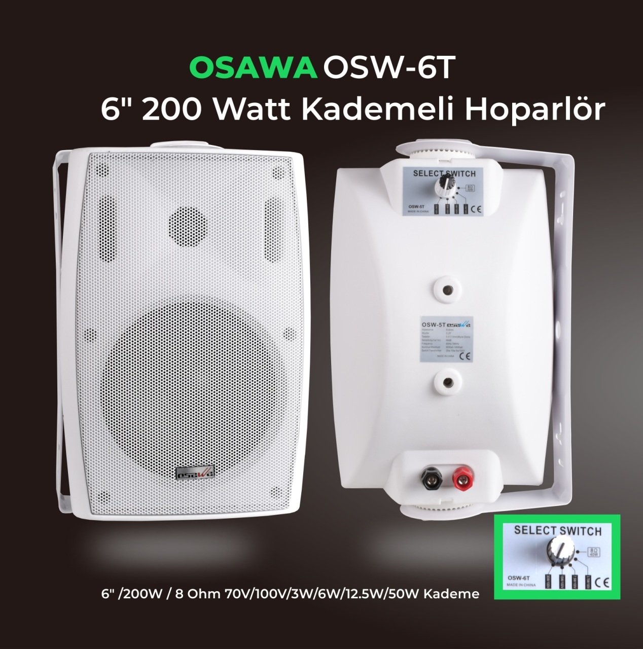 Osawa OSW-6 TB 6''200W Duvar Hoparlör