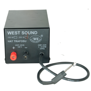 100 W. / 250 W. KUTULU HAT TRAFOSU