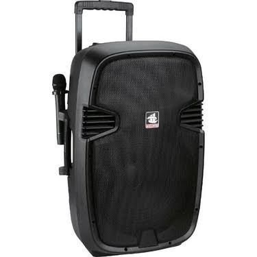 Gold Audio PA 8815 EE 15'' Taşınabilir Amfi - El+El