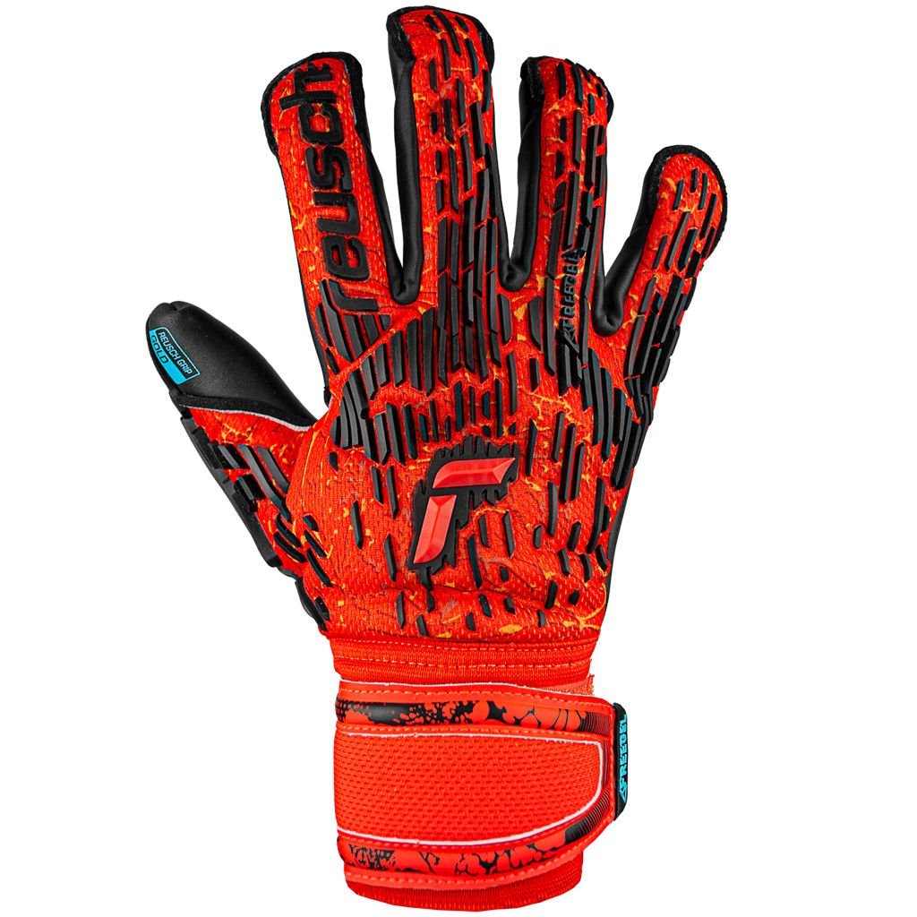 Evolution grip 10 hotsell