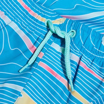 Speedo Digital Print Erkek Şort Mayo