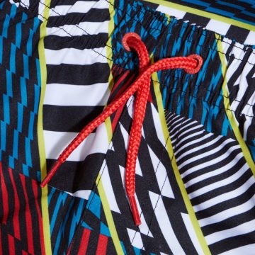 Speedo Digital Print Erkek Şort Mayo