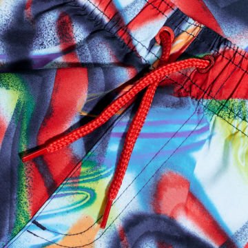 Speedo Digital Print Erkek Şort Mayo