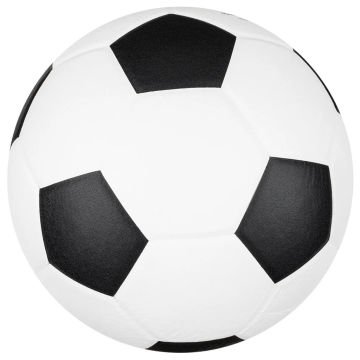 Molten IS5SL IKF Onaylı Korfbol Topu
