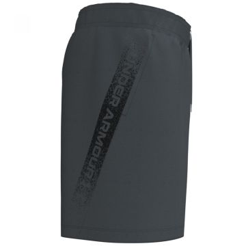 Under Armour  Woven Graphic Erkek Şort
