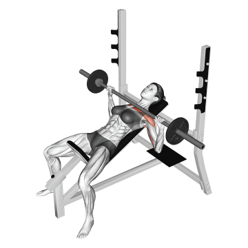 Max Life Olimpik Eğimli Incline Bench Press Sehpası