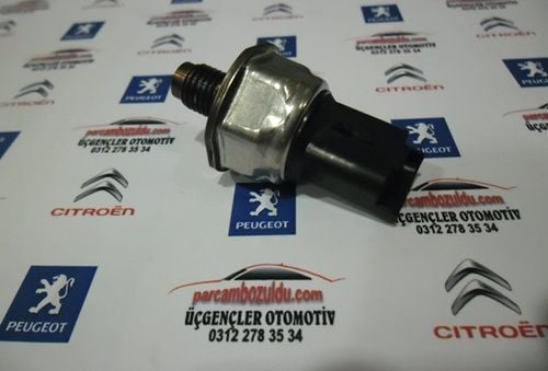 ENJEKTÖR BASINÇ MÜŞÜRÜ (rail müşürü) PEUGEOT 206 1606643580