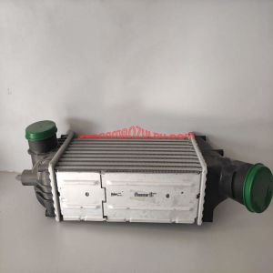 Turbo İntercol Radyatörü 307 - 0384.G4
