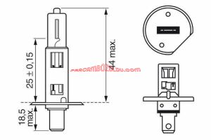14151095 12V H1 Ampul