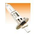 CITROEN 12V H1 AMPUL 55W GN 14151095