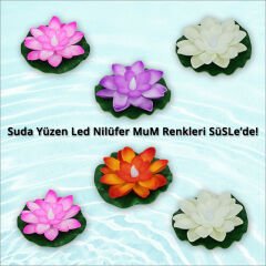 Suda Yüzen Nilüfer Çiçeği Pilli Led MuM - Mor, 3 Adet