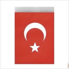 Ay Yıldız 20cm x 11cm İpli Kağıt Bayrak, 5mt - 40 Adet