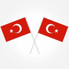 Türk Bayrağı Sopalı, 18cm x 12cm - 10 Adet