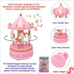 Atlı Karınca Müzik Kutusu, 17cm x 10cm - Pembe