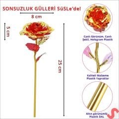 Sonsuzluk Gülü, 25 cm x 8cm - Kırmızı