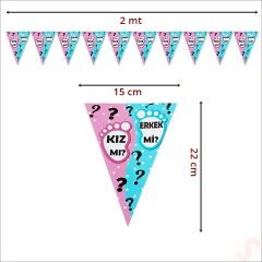 Cinsiyet Partisi, Kız Mı? Erkek Mi? Üçgen Flama - 2 mt.