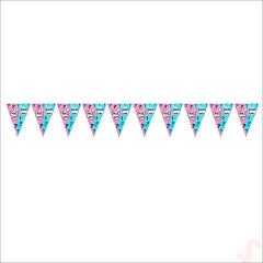 Cinsiyet Partisi, Kız Mı? Erkek Mi? Üçgen Flama - 2 mt.