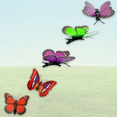 3 Boyutlu ve Mandallı, Çok Renkli Kelebek SüS - 5 Adet