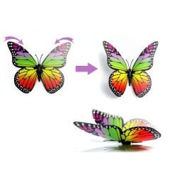 3 Boyutlu ve Mandallı, Çok Renkli Kelebek SüS - 5 Adet