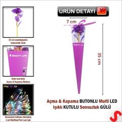 Kutulu ve Led Işıklı Sonsuzluk Gülü, 35cm - Mor