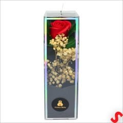 PVC Kutulu Cipsolu Yapay Kırmızı GÜL - 25cm x 7cm