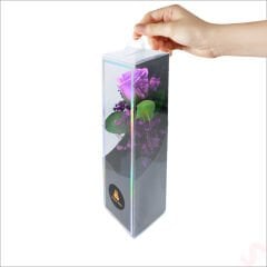 PVC Kutulu Cipsolu Yapay Mor GÜL - 25cm x 7cm