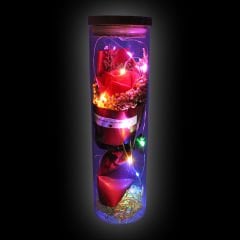 Gül ve Kuru Çiçek Buketli Led Işıklı 23cm x 7cm Cam Fanus, Kırmızı
